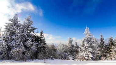 Yüksek çayırlı kış manzarası ve dağlarda kar