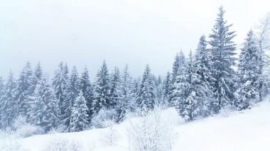 Yüksek çayırlı kış manzarası ve dağlarda kar
