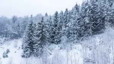 Yüksek çayırlı kış manzarası ve dağlarda kar