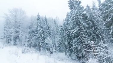 Yüksek çayırlı kış manzarası ve dağlarda kar