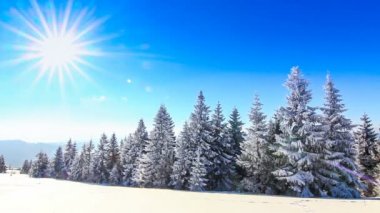 Dağı kış manzarası