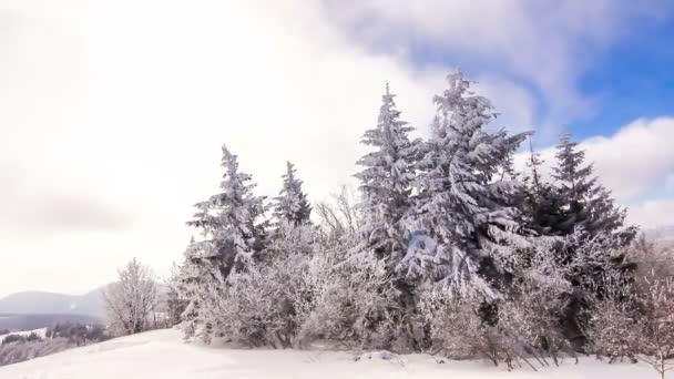 Горный зимний пейзаж — стоковое видео