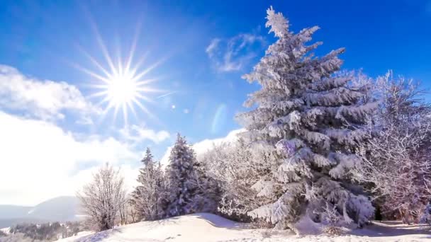 Montanha paisagem inverno — Vídeo de Stock