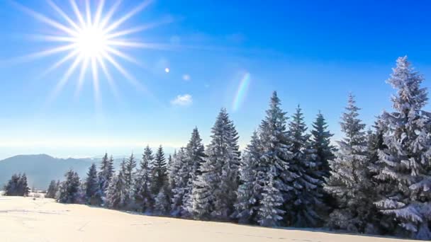 Montanha paisagem inverno — Vídeo de Stock