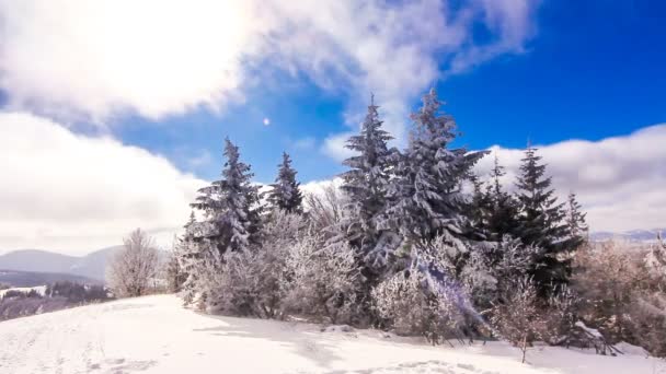 Winterlandschaft im Gebirge — Stockvideo