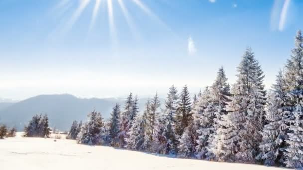 Montaña invierno paisaje — Vídeos de Stock