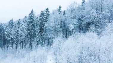 Yüksek çayırlı kış manzarası ve dağlarda kar