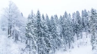 Yüksek çayırlı kış manzarası ve dağlarda kar