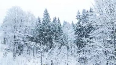 Yüksek çayırlı kış manzarası ve dağlarda kar