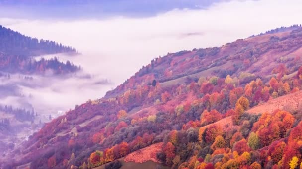 Bellissimo paesaggio con colline e montagne — Video Stock