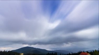 Yıldız çam ağaçları içinde gece gökyüzünde hareket Timelapse.
