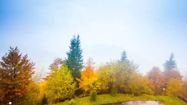 山の中で霧と秋の風景。丘の上の森. — ストック動画