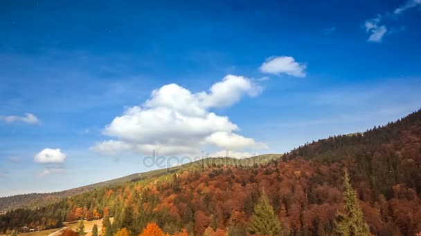 Paisagem de outono com nevoeiro nas montanhas. Floresta de abeto nas colinas. — Vídeo de Stock