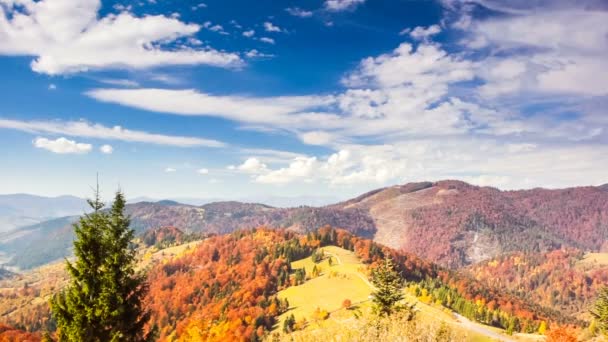 Paisagem de outono com nevoeiro nas montanhas. Floresta de abeto nas colinas. — Vídeo de Stock