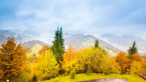 Herbstliche Landschaft mit Nebel in den Bergen. Tannenwald auf den Hügeln. — Stockvideo