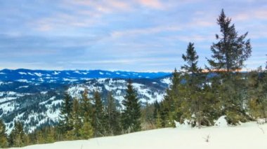 Güzel kış manzarası