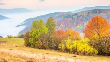 Tepeleri ve dağları olan güzel bir manzara.