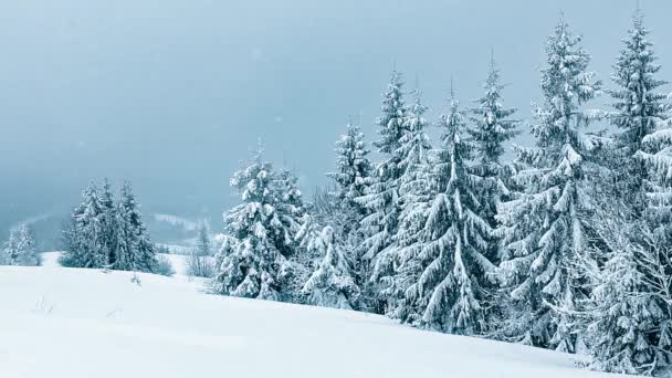 Hermoso paisaje de invierno con árboles cubiertos de nieve. Montañas de invierno. — Vídeos de Stock