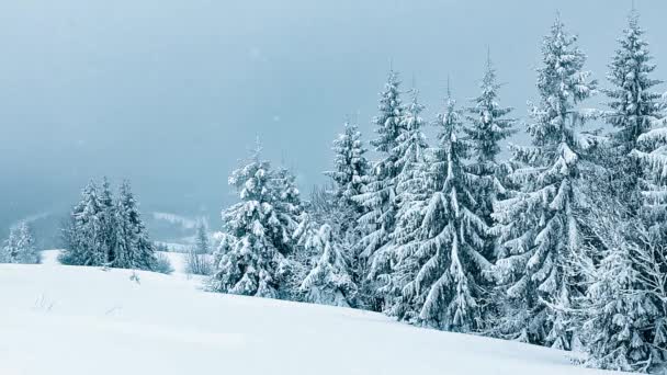 Krásná zimní krajina se zasněženými stromy. Zimní hory.