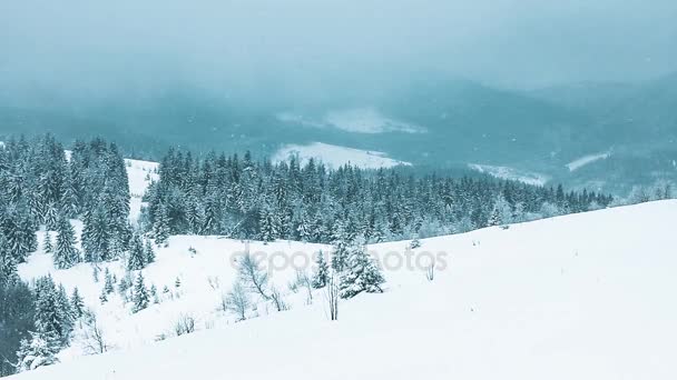 Hermoso paisaje de invierno con árboles cubiertos de nieve. Montañas de invierno. — Vídeos de Stock