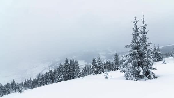 Vackert vinterlandskap med snötäckta träd. Vinterberg. — Stockvideo