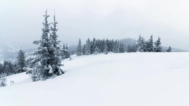 Όμορφο χειμερινό τοπίο με χιονισμένα δέντρα. Χειμερινά βουνά. — Αρχείο Βίντεο