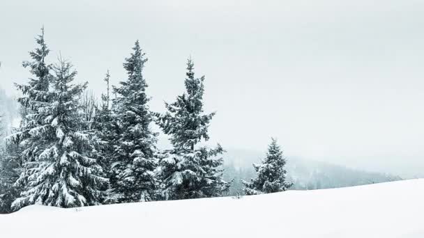 Beau paysage hivernal avec des arbres enneigés. Montagnes d'hiver. — Video