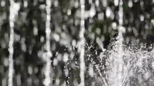 Droppar vatten i fontänen — Stockvideo