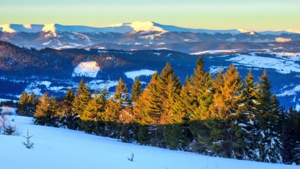 Linda paisagem de inverno — Vídeo de Stock