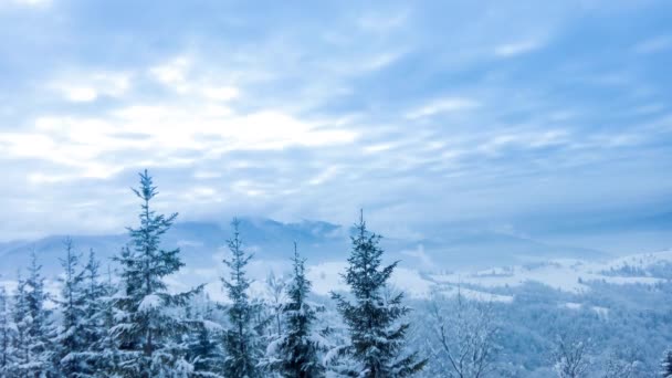 Schöne Winterlandschaft — Stockvideo