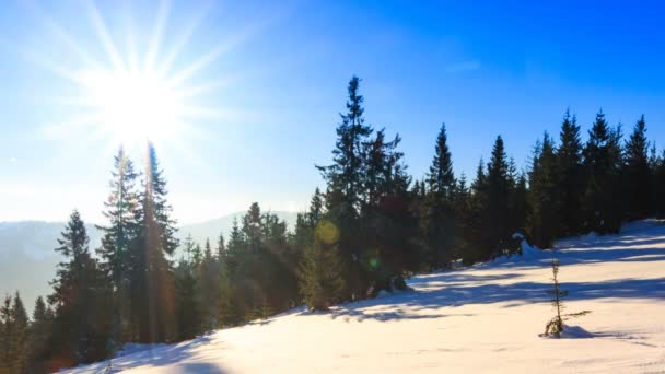 पर्वत हिवाळी लँडस्केप — स्टॉक व्हिडिओ