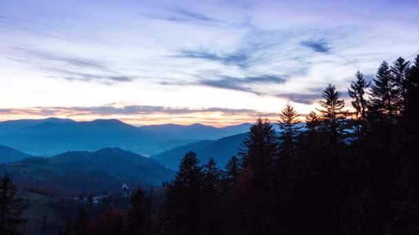 Yıldız çam ağaçları içinde gece gökyüzünde hareket Timelapse. — Stok video