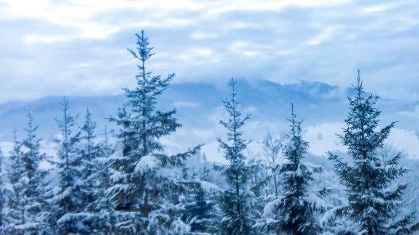 Schöne Winterlandschaft — Stockvideo