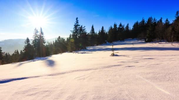 Montanha paisagem inverno — Vídeo de Stock