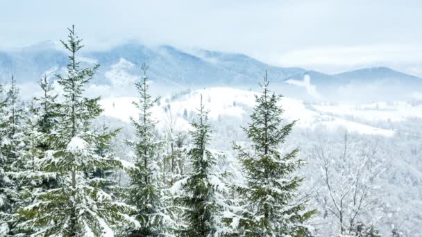 Linda paisagem de inverno — Vídeo de Stock