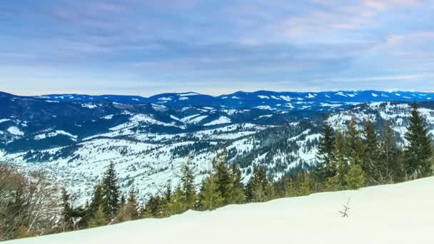 Hermoso paisaje de invierno — Vídeo de stock