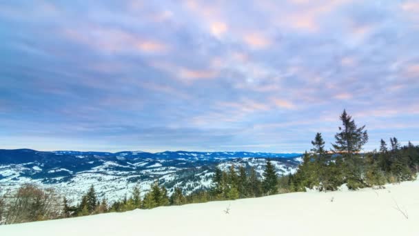 Hermoso paisaje de invierno — Vídeo de stock