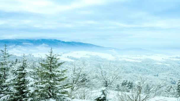 Linda paisagem de inverno — Vídeo de Stock