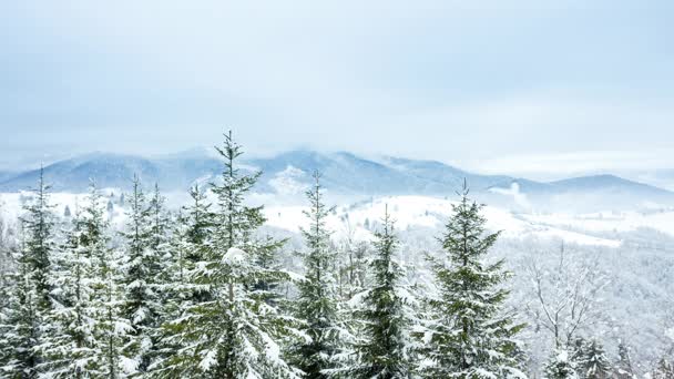 Schöne Winterlandschaft — Stockvideo