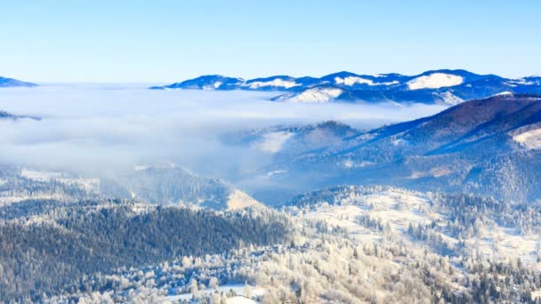 Zimní krajina. Mlha, pohybující se přes hory v zimě s modrou oblohou — Stock video