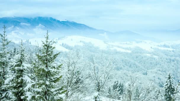 Schöne Winterlandschaft — Stockvideo