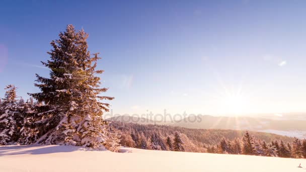 Zimowy krajobraz. Wschód słońca.. — Wideo stockowe