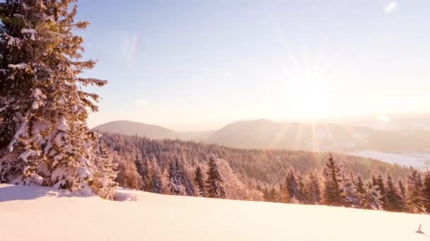 Zimní krajina. Východ slunce. — Stock video