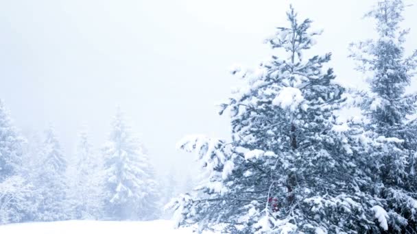 Schöne Winterlandschaft — Stockvideo