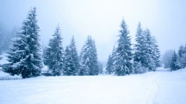 Güzel kış manzarası