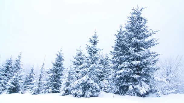 Hermoso paisaje de invierno — Vídeo de stock