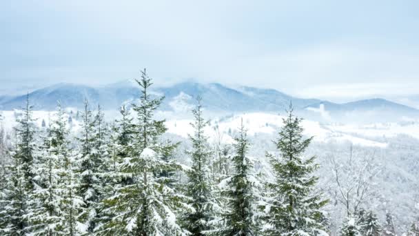 Красивый зимний пейзаж — стоковое видео