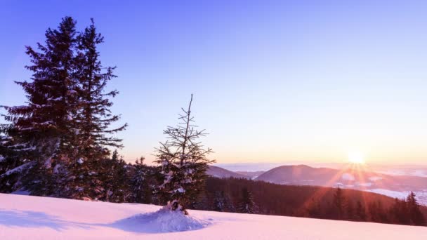 Montaña invierno paisaje — Vídeo de stock