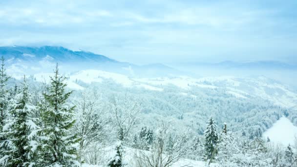 Schöne Winterlandschaft — Stockvideo