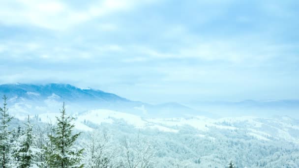 Piękny zimowy krajobraz — Wideo stockowe